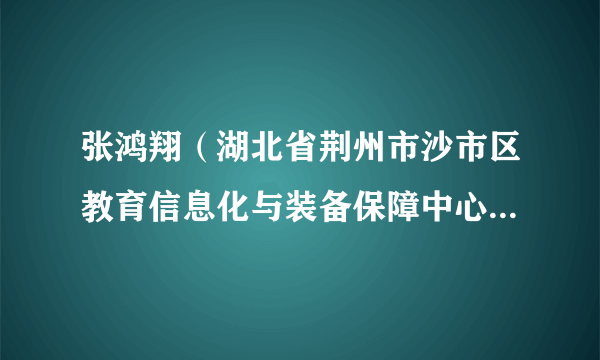 张鸿翔（湖北省荆州市沙市区教育信息化与装备保障中心党支部书记、主任）