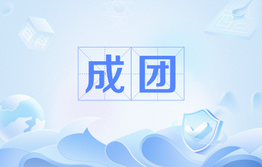 成团（网络流行语）