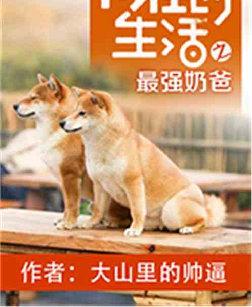 向往的生活之最强奶爸