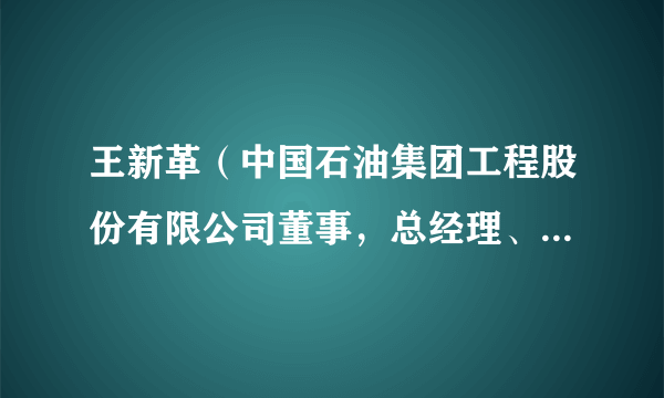 王新革（中国石油集团工程股份有限公司董事，总经理、党委副书记）