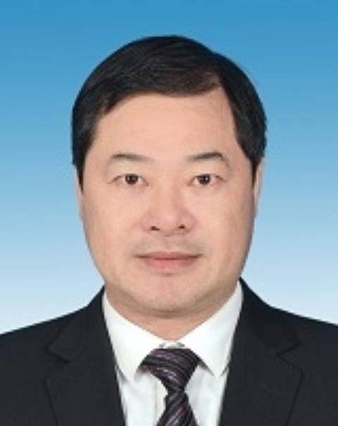 杨金平（浙江省平湖市人民政府原副市长）