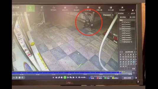 10·20三亚保安踢踹暴打男童事件