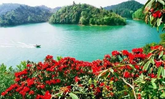 杜鹃湖（内蒙古阿尔山杜鹃湖）