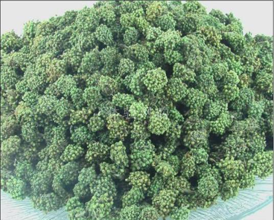 田七花茶