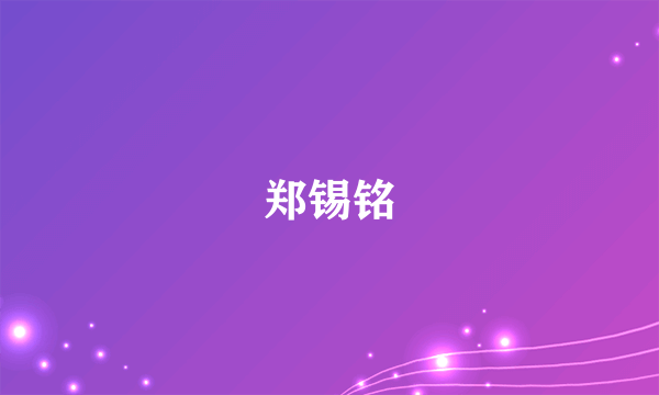 郑锡铭
