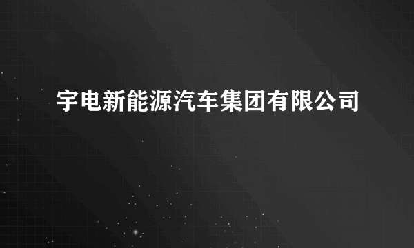 宇电新能源汽车集团有限公司