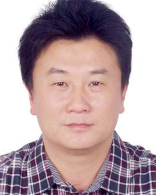 周光照（安徽省合肥市庐江县统计局党支部书记、党组成员、总统计师）