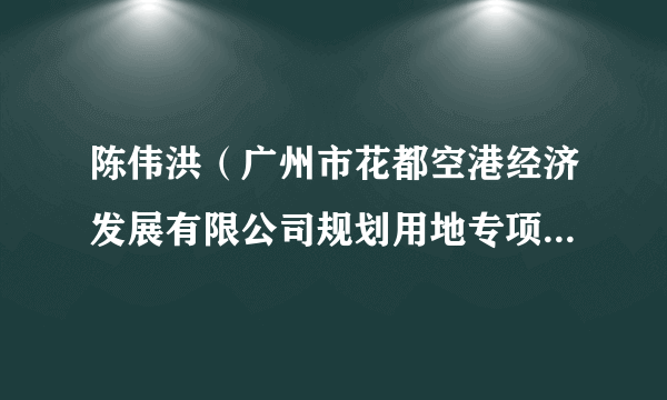 陈伟洪（广州市花都空港经济发展有限公司规划用地专项事务专员）