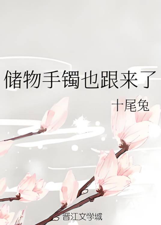 储物手镯也跟来了