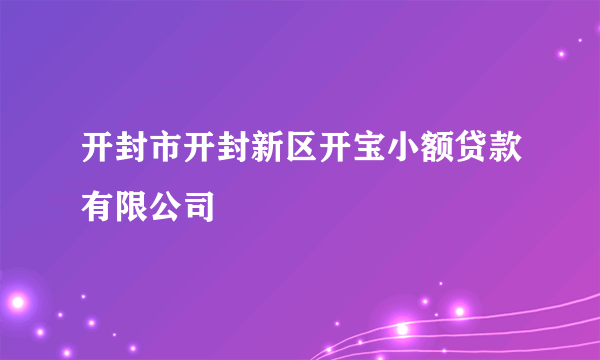 开封市开封新区开宝小额贷款有限公司