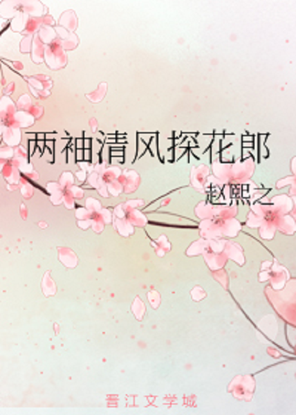 两袖清风探花郎
