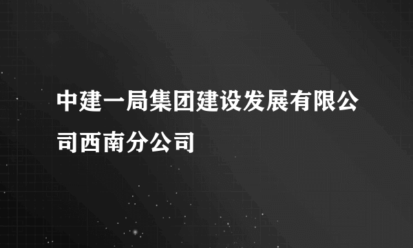 中建一局集团建设发展有限公司西南分公司