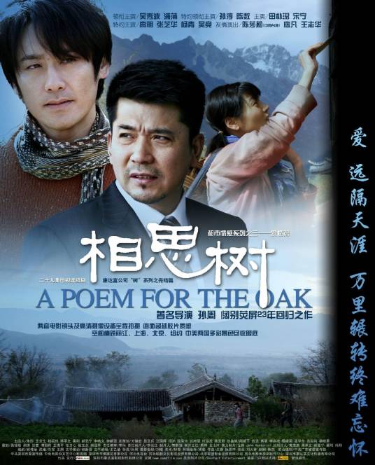 相思树（2008年吴秀波主演的电视剧）