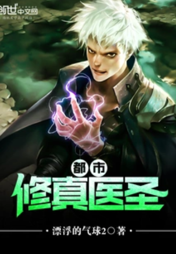 都市修真医圣（漂浮的气球2所著小说）