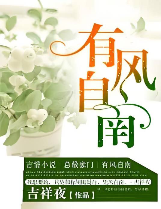 有风自南（吉祥夜创作的网络小说）