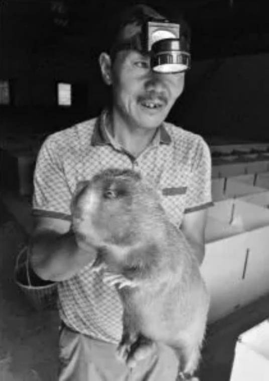 黄龙盛