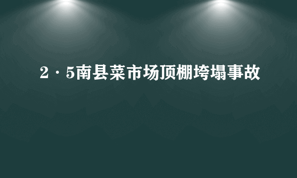 2·5南县菜市场顶棚垮塌事故
