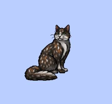 梅花落（《猫武士》系列中的角色）
