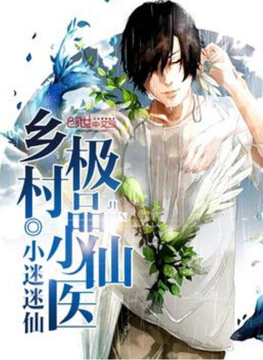 乡村极品小仙医
