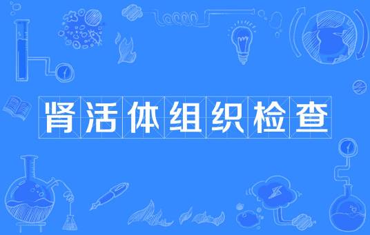肾活体组织检查