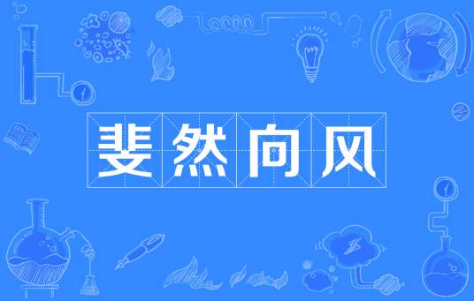 斐然向风（翩然地闻风归向）