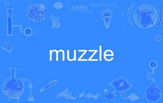 muzzle