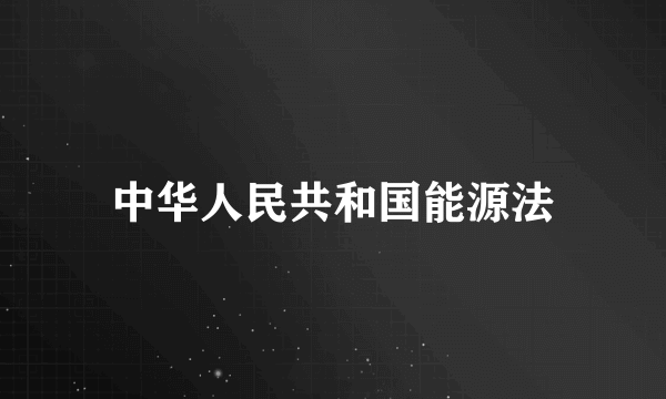 中华人民共和国能源法