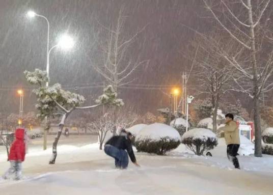 2024年山东暴雪
