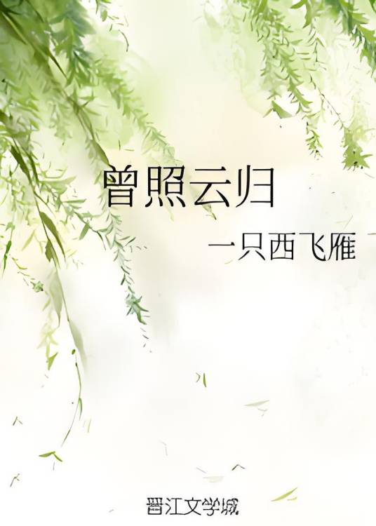 曾照云归（一只西飞雁所著小说）
