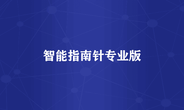 智能指南针专业版
