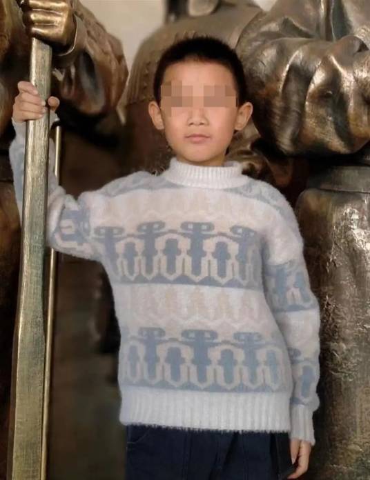 5·3临猗男孩失联事件