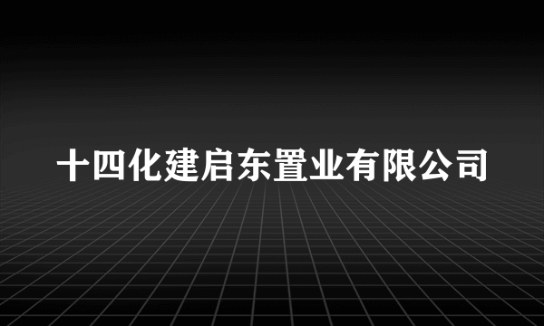 十四化建启东置业有限公司