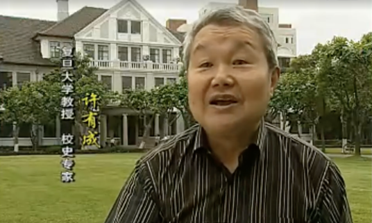 许有成（复旦大学教授）