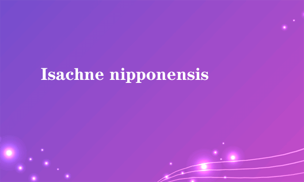 Isachne nipponensis