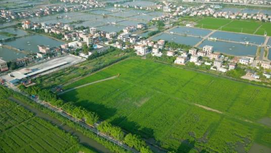 大有村（广东省中山市阜沙镇下辖村）