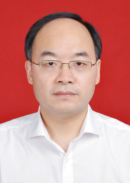 何鹏（四川省南充市西充县委书记）