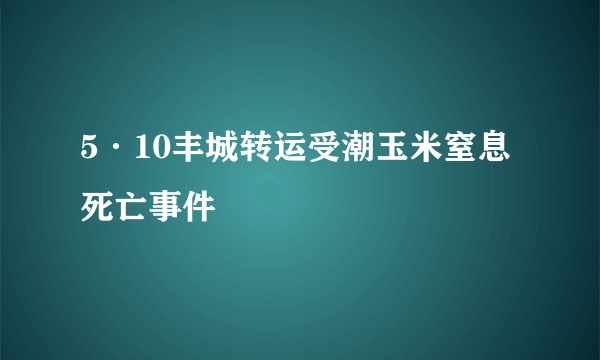 5·10丰城转运受潮玉米窒息死亡事件