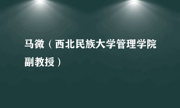 马微（西北民族大学管理学院副教授）