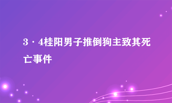 3·4桂阳男子推倒狗主致其死亡事件