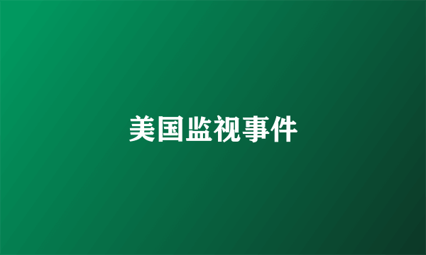 美国监视事件