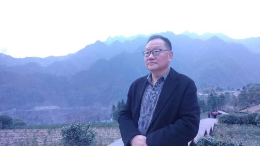 刘金安（中国文化管理协会书画工作委员会协会理事）