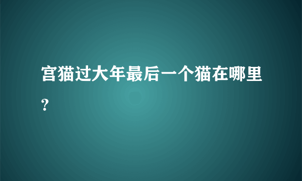 宫猫过大年最后一个猫在哪里？