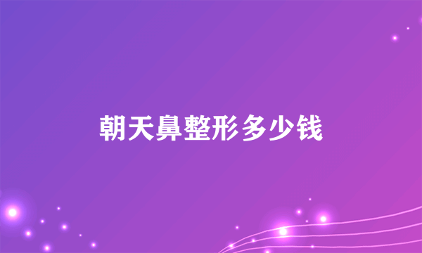 朝天鼻整形多少钱