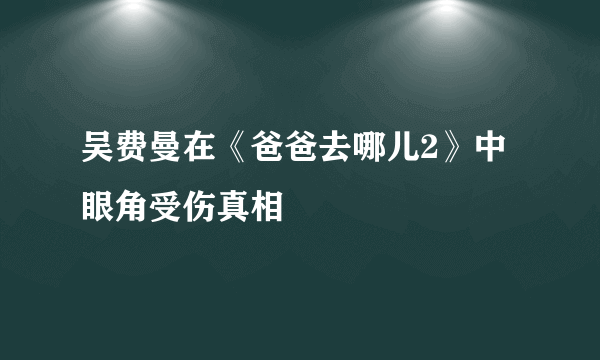吴费曼在《爸爸去哪儿2》中眼角受伤真相