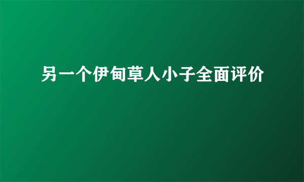 另一个伊甸草人小子全面评价