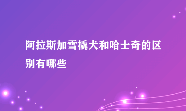 阿拉斯加雪橇犬和哈士奇的区别有哪些