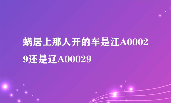 蜗居上那人开的车是江A00029还是辽A00029
