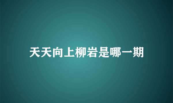 天天向上柳岩是哪一期