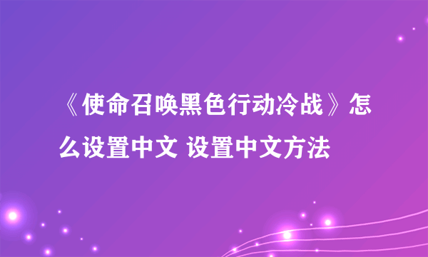 《使命召唤黑色行动冷战》怎么设置中文 设置中文方法