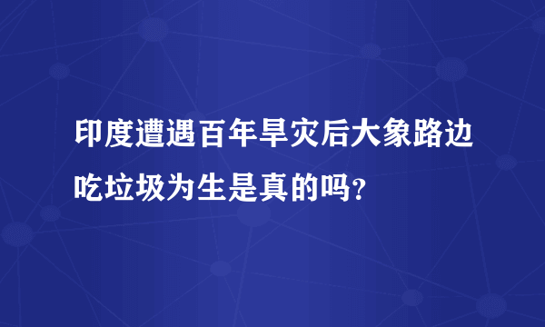 印度遭遇百年旱灾后大象路边吃垃圾为生是真的吗？
